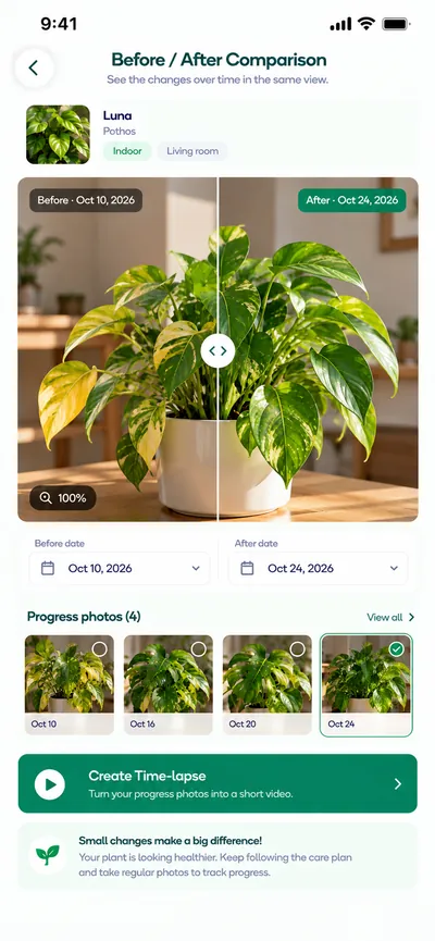 Plantiqo before and after comparison of a Pothos plant recovering
