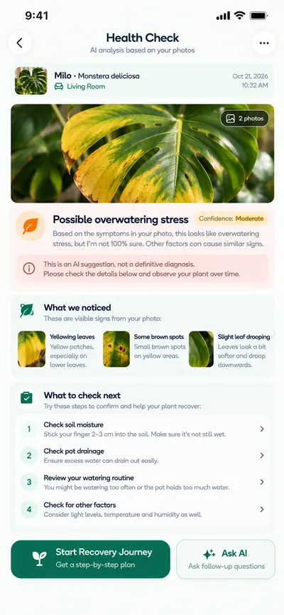 Plantiqo health check showing possible overwatering stress with what to check next
